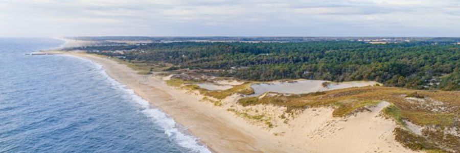 Best Beaches near Washington, D.C