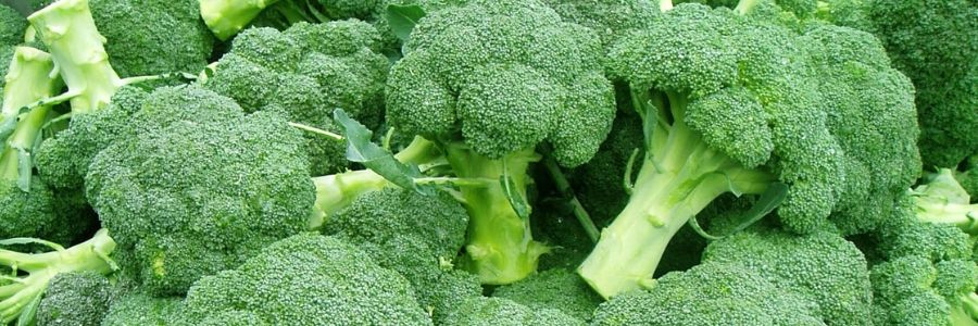 Kenya Broccoli