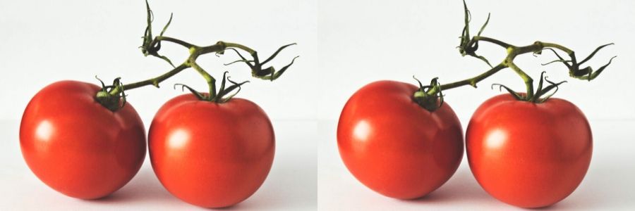 Kenya Tomatoes