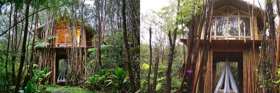 Treehouse Rentals in Hawaii