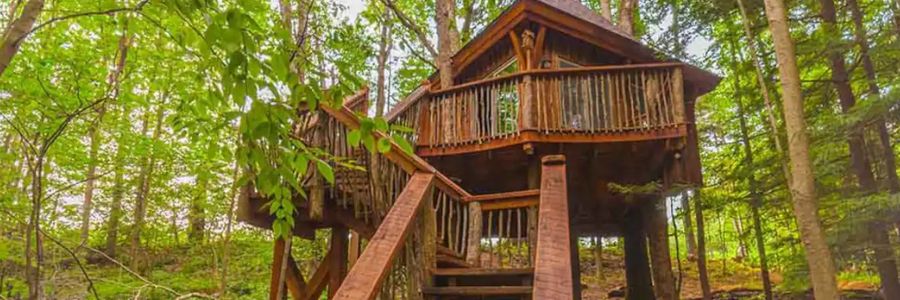 Treehouse Rentals in Pennsylvania